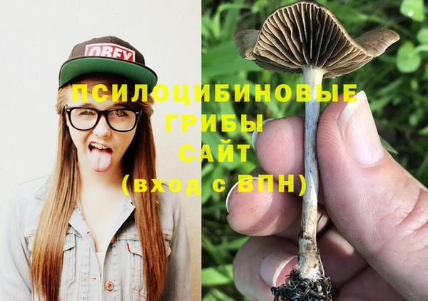 прущие крисы Новодвинск