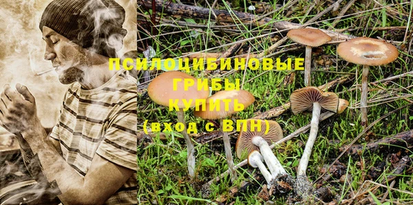 метадон Няндома