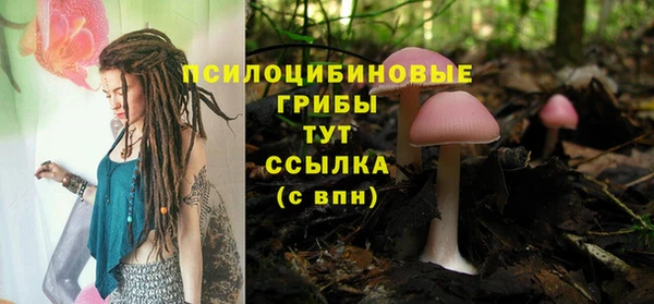 2c-b Нягань