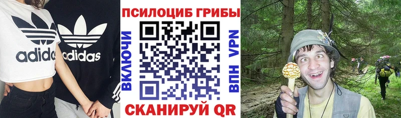 Псилоцибиновые грибы Magic Shrooms кракен зеркало Сарапул наркотики